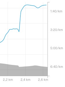 sprint strava